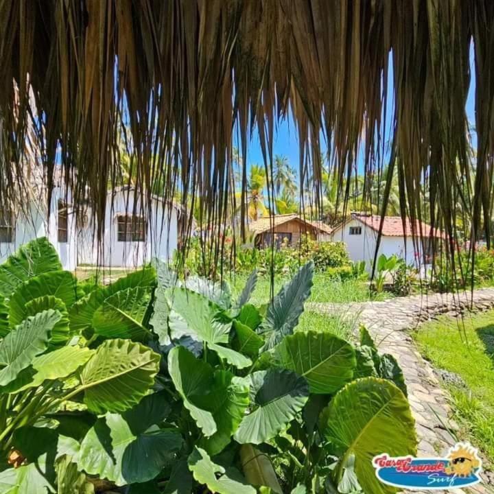 Casa Grande Surf Hotel Guachaca Phòng bức ảnh